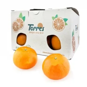 Mandarina Selecta Bandeja 1 Kg