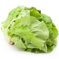 Lechuga Mantecosa Euskal Baserri, Unidad