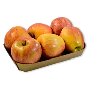 Manzana Gala
