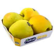 Manzana Golden Rose