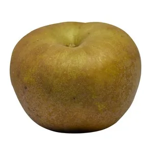 Alcampo