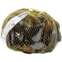 Mejillón 40-50, Bolsa 1 Kg
