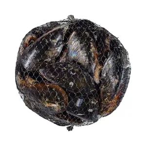 Mejillón Selección 1 KG