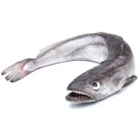 Merluza de Anzuelo Entera y Limpia, al Peso, Compra Mínima 1.9 Kg