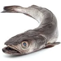 Merluza de Pincho, Pieza al Peso Aprox. 1.75 Kg