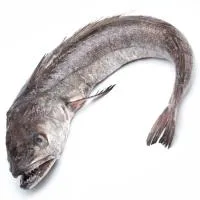 Merluza Entera (1-2 Kg), Pieza al Peso Aprox. 1.5 Kg