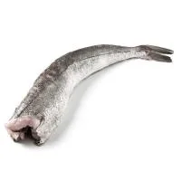 Merluza Entera y Limpia, al Peso, Compra Mínima 1.9 Kg