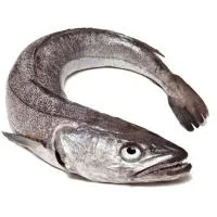 Merluza Grande, Pieza al Peso Aprox. 2.5 Kg