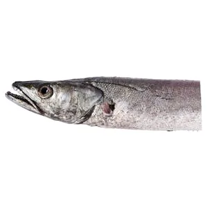 Merluza Media Pieza sin Aletas y sin Escamas 0.65 KG