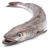 Merluza, Pieza al Peso Aprox. 1.5 Kg