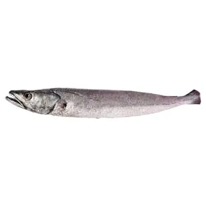Merluza sin Aletas y sin Escamas 1.08 KG