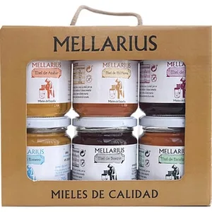 Mieles de Eucalipto, Azahar, Mil Flores, Bosque, Romero y Brezo 6 Tarros de Mellarius