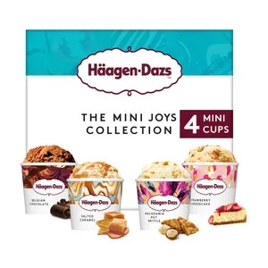 Häagen-dazs Mini Tarrinas de Helado de Chocolate Belga, Caramelo Salado, Nueces de Macadamia y Cheesecake con Fresa 4 X 95 Ml. 380 ML