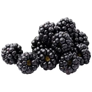 Moras, Tarrina 125 G.