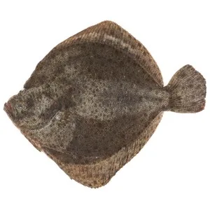 Rodaballo Mostrador 600-800 G.