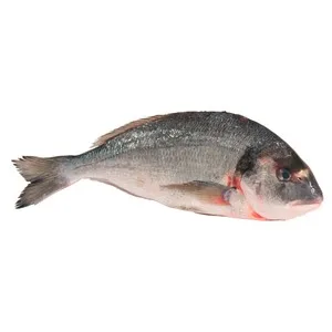 Dorada Mostrador. - Entera 450 G