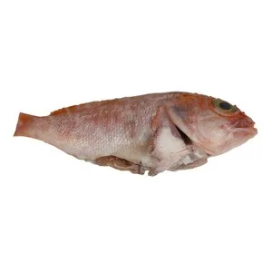 Gallineta Mostrador - Entera Limpia 300 G