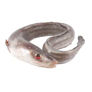 Congrio Mostrador - Entero 1500 G