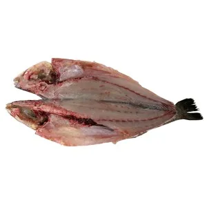Corvina Mostrador. - Espalda con Espinas 1125 G