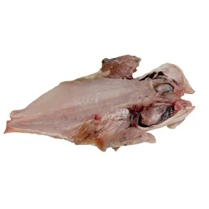 Gallineta Mostrador - Espalda con Espinas 300 G