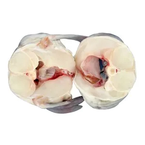 Congrio Mostrador - Rodajas 1500 G