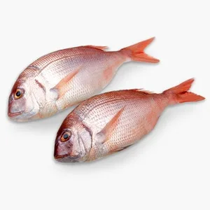 Pargo Peso Aproximado
