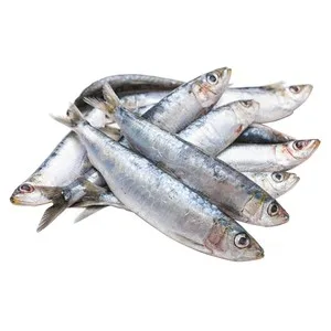 Sardina Parrocha 300 G