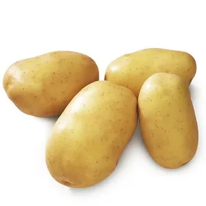 Patata Fresca de Guarnición para Freír y Cocer Procedente de Cultivo de España Huerta de Carabaña