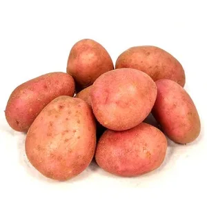 Patata Roja Udapa