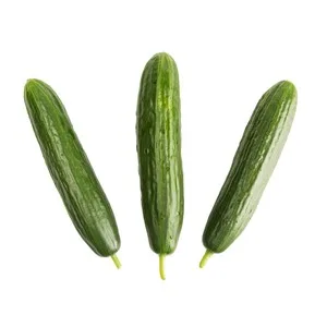 Pepino Holandés 400 G.