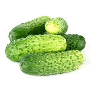 Pepino Malla de 1kg. 1000 G