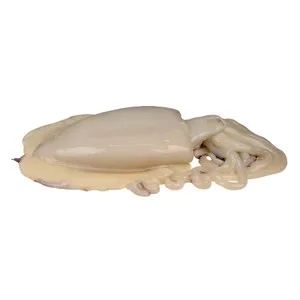 Sepia Pequeña Mostrador - Entera 375 G