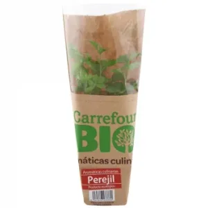 Perejil Liso Ecológico Carrefour Bio Maceta 1 Ud