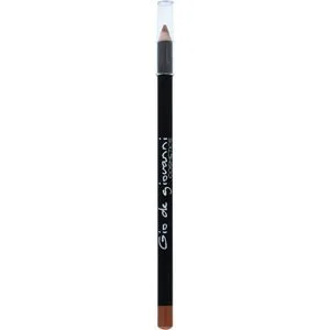Perfilador Labios Nº06 Nude 1 u
