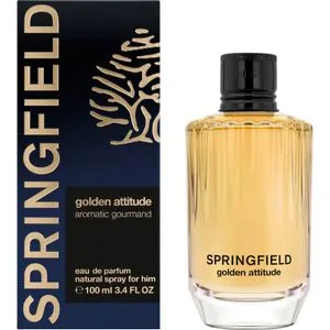 Perfume Masculino Golden Attitude 100 Ml