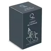Perfume para Hombre L'esprit de Victoire Dia Imaqe Frasco 100 Ml