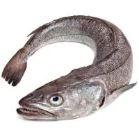 Pescadilla de Costa, Pieza al Peso Aprox. 750 G