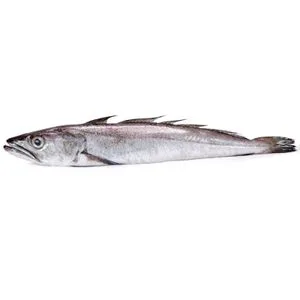 Pescadilla - Pieza de 300 Gr. Aproximadamente