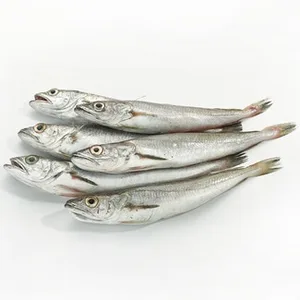 Pijotas de Costa