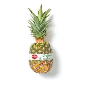 Piña del Monte Entera