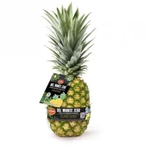 Piña del Monte Zero Pieza 2 Kg Aprox