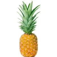 Piña Maduración Natural, Unidad