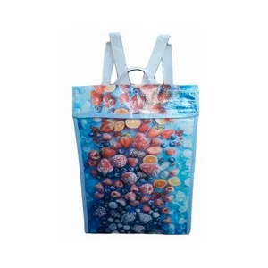 Productos Congelados Bolsa/mochila Térmica