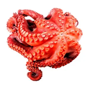 Pulpo Cocido Pieza 400 - 600 G Aprox.