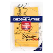 Queso Cheddar Dia Selección Mundial 160 G