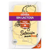 Queso Gouda sin Lactosa Dia Selección Mundial 160 G