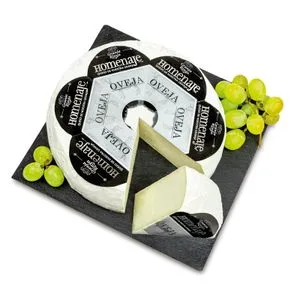 Queso Homenaje Leche Oveja Pasteurizada