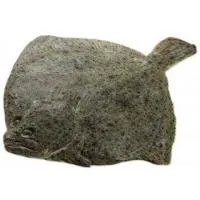 Rodaballo 2-2,5kg Neptura, Pieza al Peso Aprox. 2.2 Kg