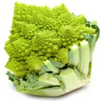 Romanescu