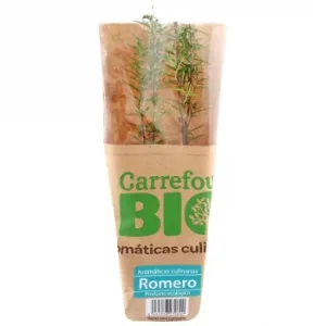 Romero Ecológico Carrefour Bio Maceta 1 Ud